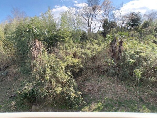 ヴィラ・ウィロー IIの物件内観写真